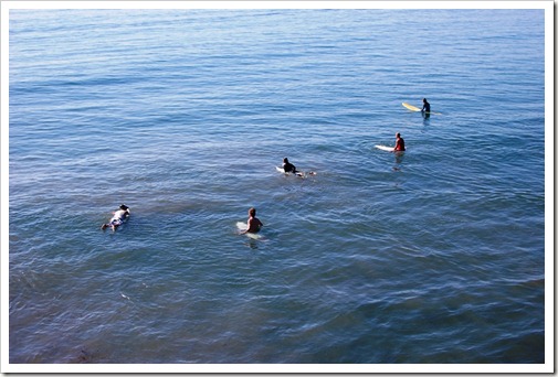 LA Surfers